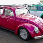 VW Oval Beetle TSV283