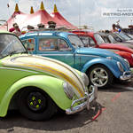 VW Beetle Line Up