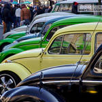 VW Beetles At Ninove