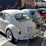 VW Beetles in Ninove