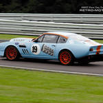 1980 Aston Martin V8 Vantage - Rikki Cann