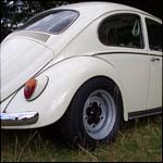 White VW Beetle KVF809E