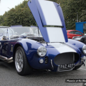 PAZ427 Blue Dax Cobra