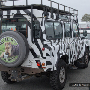 Zebra Striped Land Rover Defender