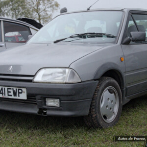 J741EWP Grey Citroen AX