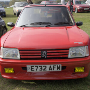 E732AFM Red Dimma Peugeot 205