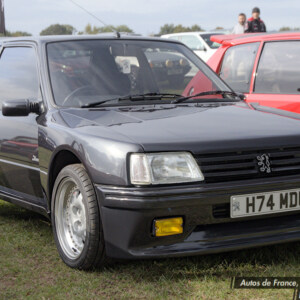 H74MDU Dimma Peugeot 205