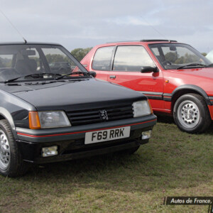 F69RRK Black Peugeot 205 GTI