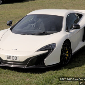 60DO White McLaren 650S