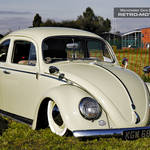 VW Beetle KGW684A