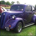 Purple Ford Pop Custom OSL568