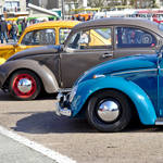 VW Beetles at Ninove