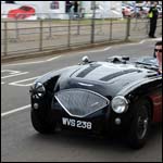 Black Austin Healey WVS238 at the Silverstone Classic 2013