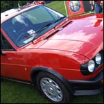 red Alfa Romeo Alfasud Ti